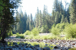 Yosemite's Riverfront Retreat